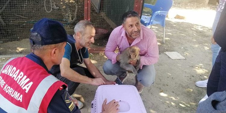 2 yaşındaki çocuğu maymun ısırdı