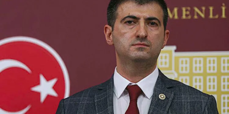 Mehmet Ali Çelebi kimdir? Mehmet Ali Çelebi hangi partide?