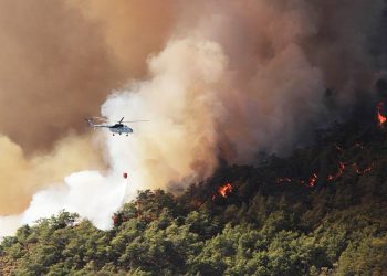 “Orman yangınlarının yüzde 87’si insan kaynaklı”