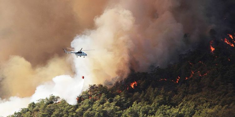 “Orman yangınlarının yüzde 87’si insan kaynaklı”