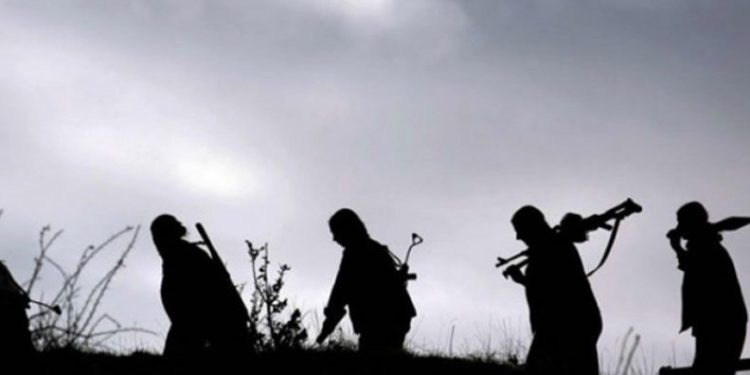 PKK’nın hain planı deşifre oldu