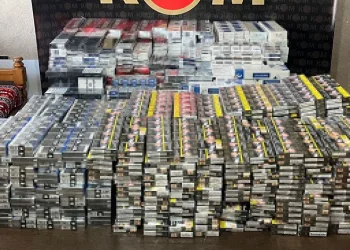 Şırnak’ta kaçakçılık ve asayiş operasyonu: 30 gözaltı