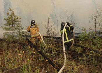 Rusya’da 12 bin hektarlık alan kül oldu