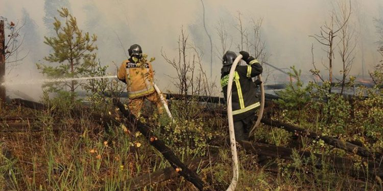 Rusya’da 12 bin hektarlık alan kül oldu