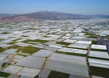 Manisa Sarıgöl Ovası beyaza büründü