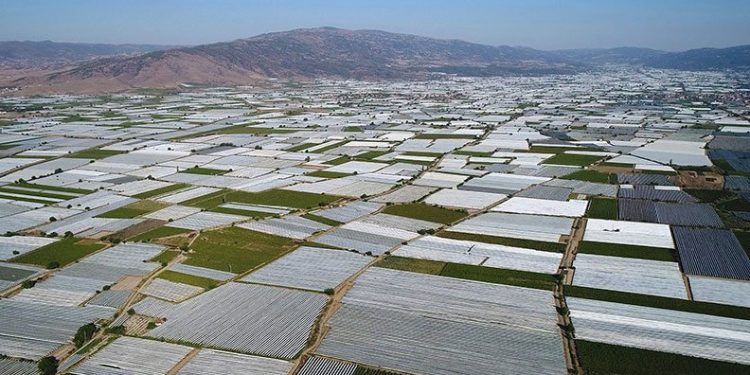 Manisa Sarıgöl Ovası beyaza büründü