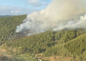 Susurluk’ta 16 hektar ormanlık alan kül oldu