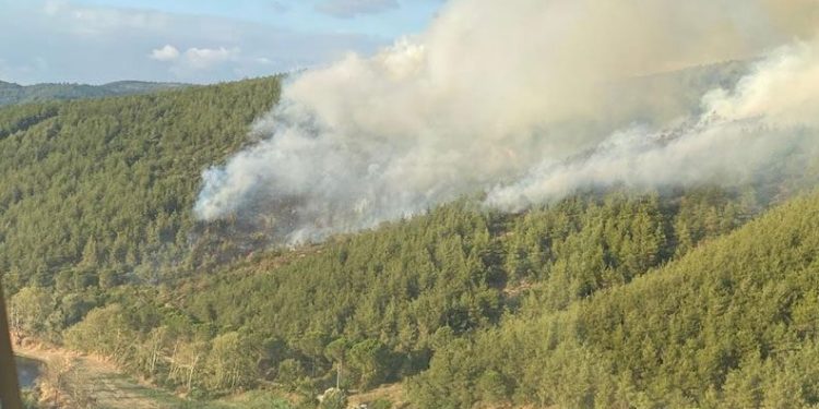 Susurluk’ta 16 hektar ormanlık alan kül oldu