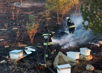 Tekirdağ’da binlerce arı yandı