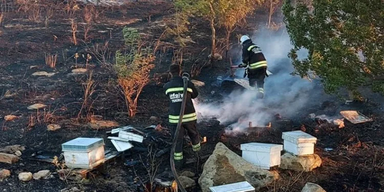 Tekirdağ’da binlerce arı yandı