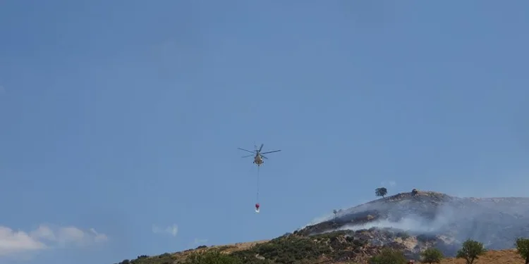 Çanakkale’de orman yangını
