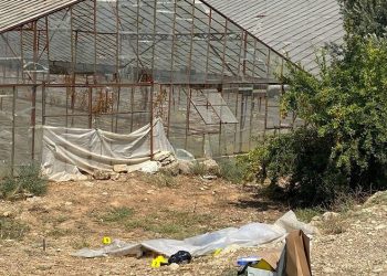 Antalya’da haber alınamayan gencin cesedi bulundu