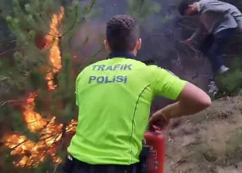 Uygulama yapan polislerin dikkati orman yangınını önledi