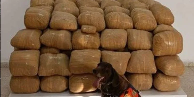 Van’da 700 kiloyu aşkın uyuşturucu ele geçirildi