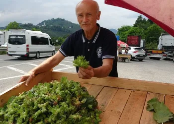 Ordu’da yeni fındık hasattan önce tezgahlarda