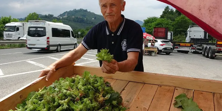 Ordu’da yeni fındık hasattan önce tezgahlarda