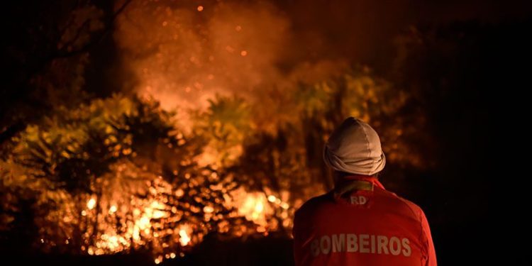 Portekiz’deki orman yangınında 15 bin hektar alan kül oldu