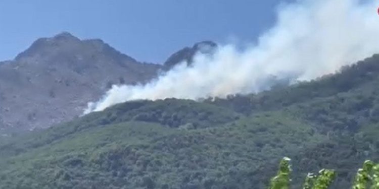 Yunanistan’ın Semadirek Adası’nda orman yangını