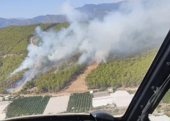 Antalya Kumluca’da orman yangını
