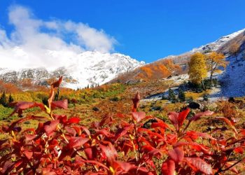 Artvin’den sonbahar manzaraları