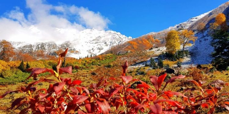 Artvin’den sonbahar manzaraları