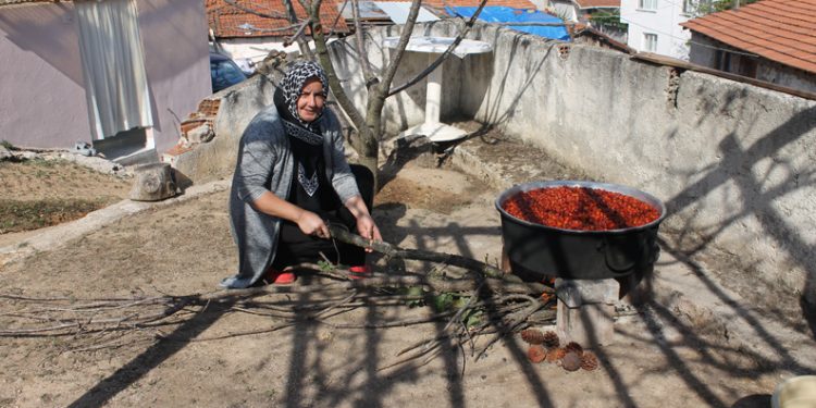 Biga’da hünnap pekmezi kazanlarda kaynamaya başladı