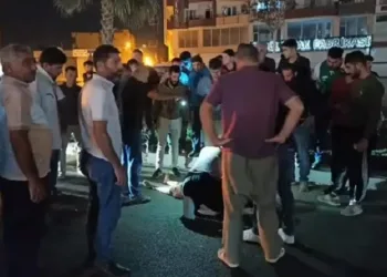 Mardin’de TIR’ın çarptığı kadın öldü