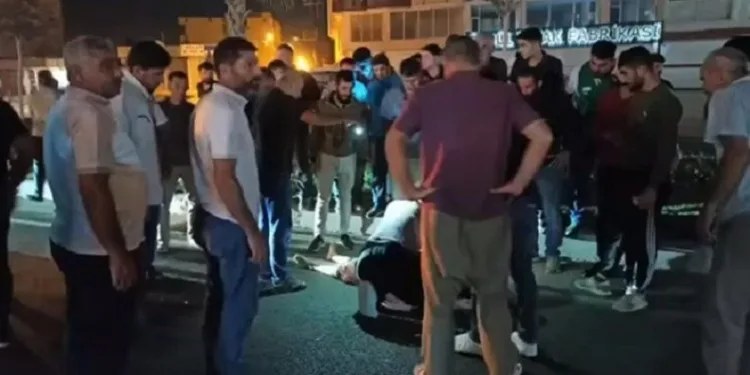 Mardin’de TIR’ın çarptığı kadın öldü