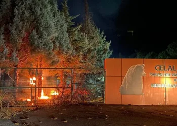 Bursa’daki ayı barınağında yangın çıktı