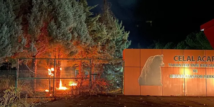Bursa’daki ayı barınağında yangın çıktı