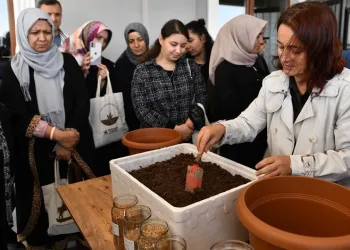 Osmangazi’de balkonlar tarım alanına dönüşüyor