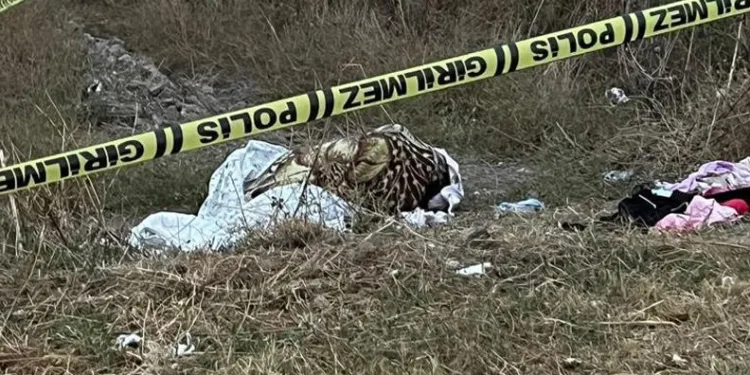 Boş arazide kadın cesedi bulundu