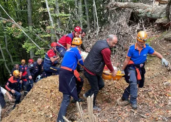 Bursa’da ağaçtan düşünce ormanda mahsur kaldı