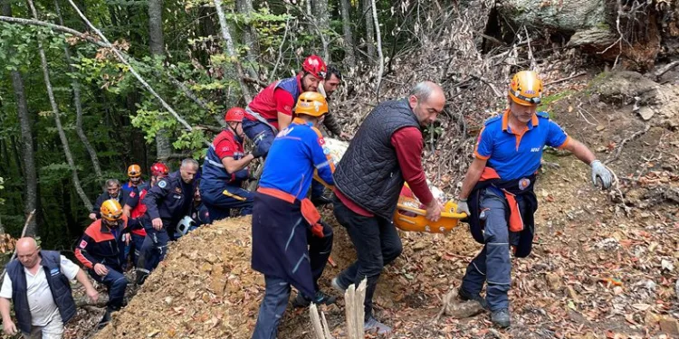 Bursa’da ağaçtan düşünce ormanda mahsur kaldı