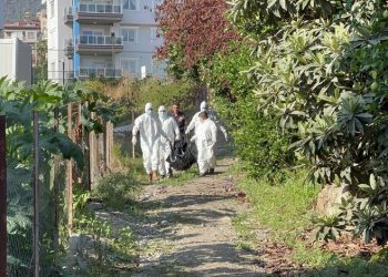 Antalya’da tarlada erkek cesedi bulundu