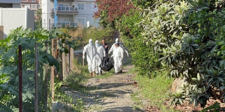 Antalya’da tarlada erkek cesedi bulundu