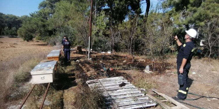 Hırsızların kestiği kablo ormanı yakıyordu