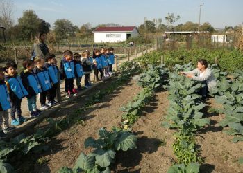 Nilüfer’de geleceğin çiftçileri tarım öğreniyor