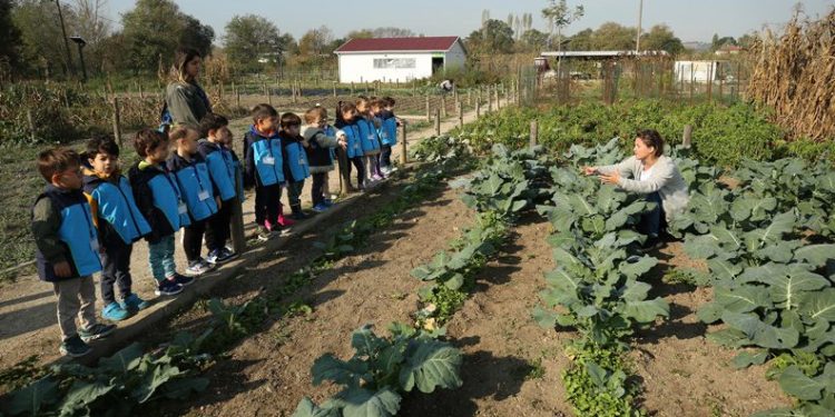 Nilüfer’de geleceğin çiftçileri tarım öğreniyor