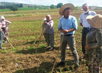 Sarıbal’dan Dünya Çiftçi Kadınlar Günü mesajı
