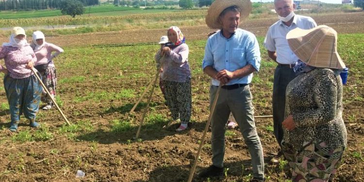 Sarıbal’dan Dünya Çiftçi Kadınlar Günü mesajı