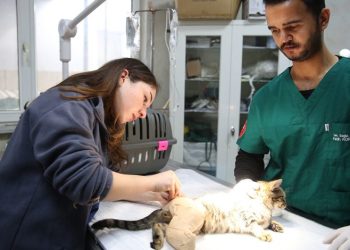 Bursa’da can dostlara koruyucu aileler aranıyor