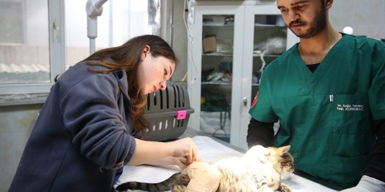 Bursa’da can dostlara koruyucu aileler aranıyor