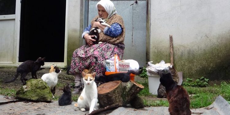 Çocuk sevgisini kedilerde buldu