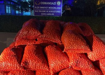 Bursa’da 3 tonluk ceviz dolandırıcılığı