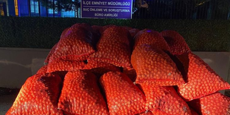 Bursa’da 3 tonluk ceviz dolandırıcılığı