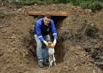 Sokak canları korunaklı yuvalara kavuştu