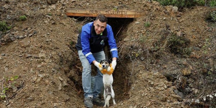 Sokak canları korunaklı yuvalara kavuştu