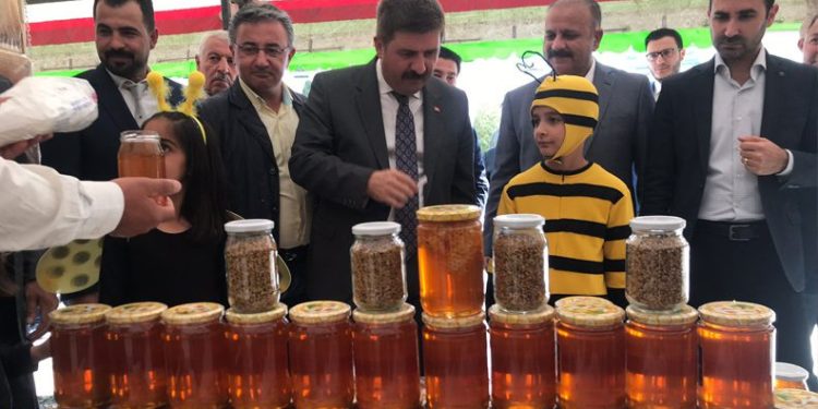 Iğdır balı tanıtım günleri başladı