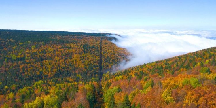Uludağ’ın büyüleyen sonbahar güzelliği